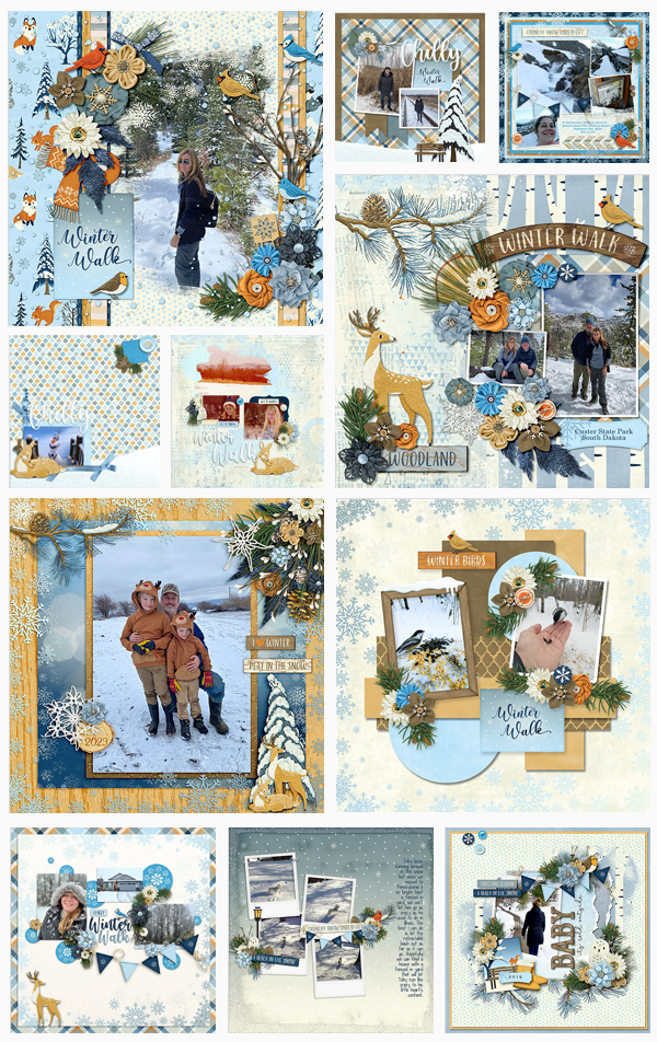 CT-Template-WinterWalk.png